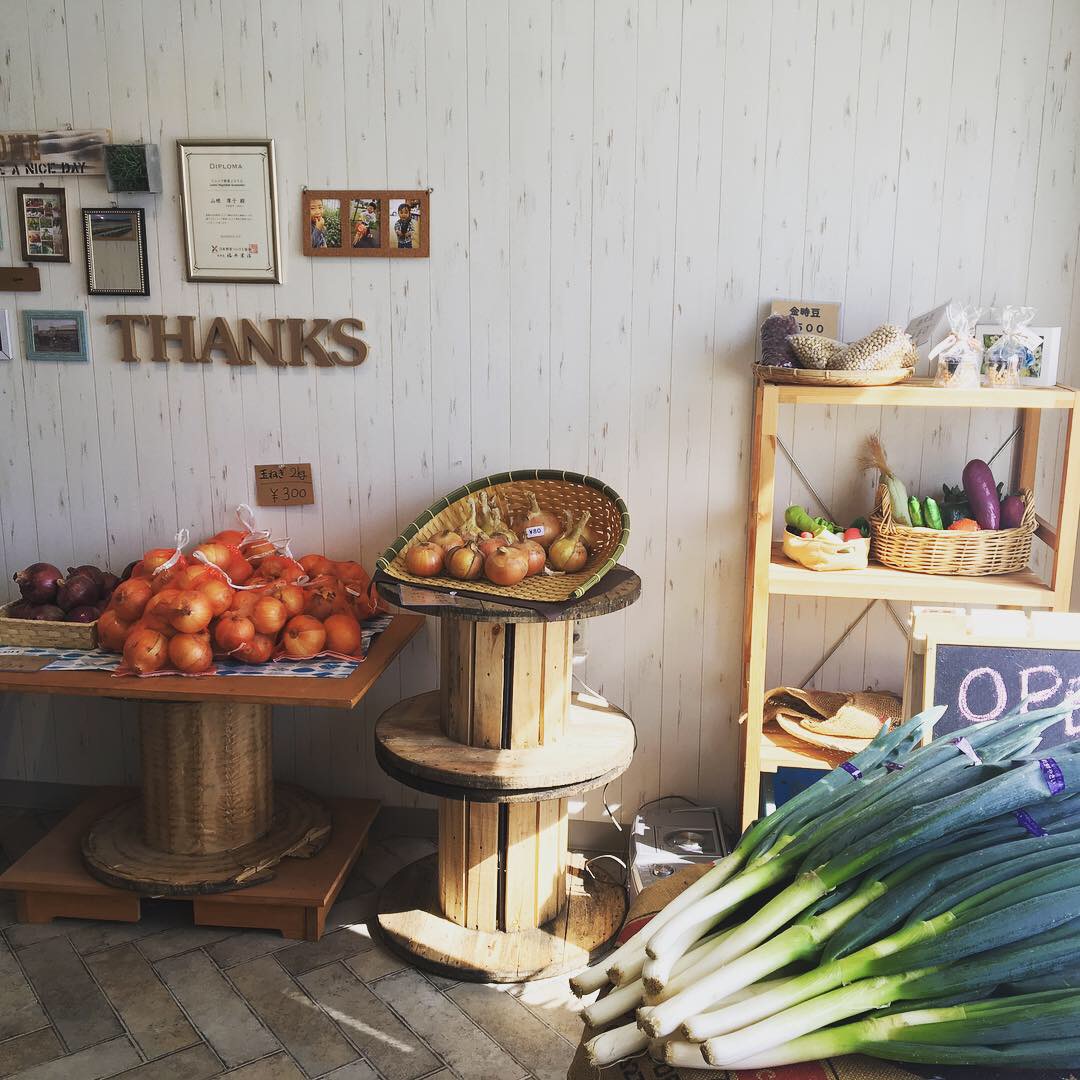 ファームについて | 山根農園 旬菜ガーデン